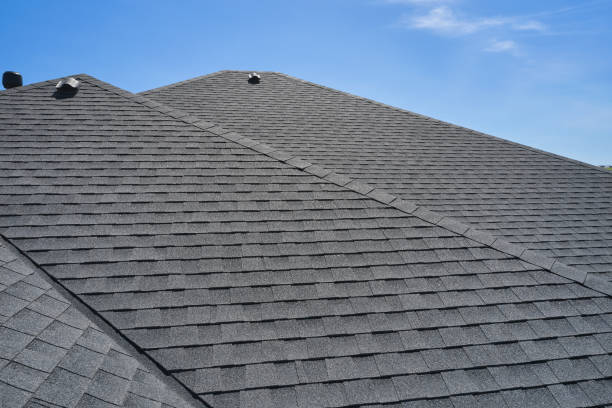 Professional Roofing services in Thief River Falls, MN